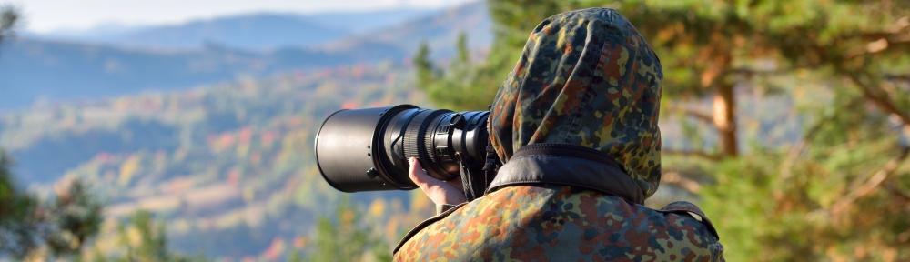 Se lancer dans la photographie animalière